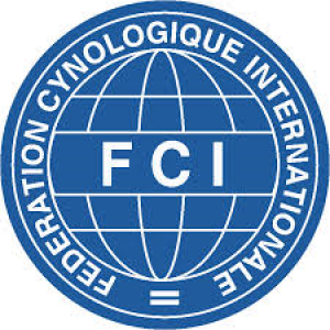 fci-logo.png