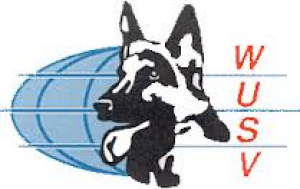 wusv-logo.png
